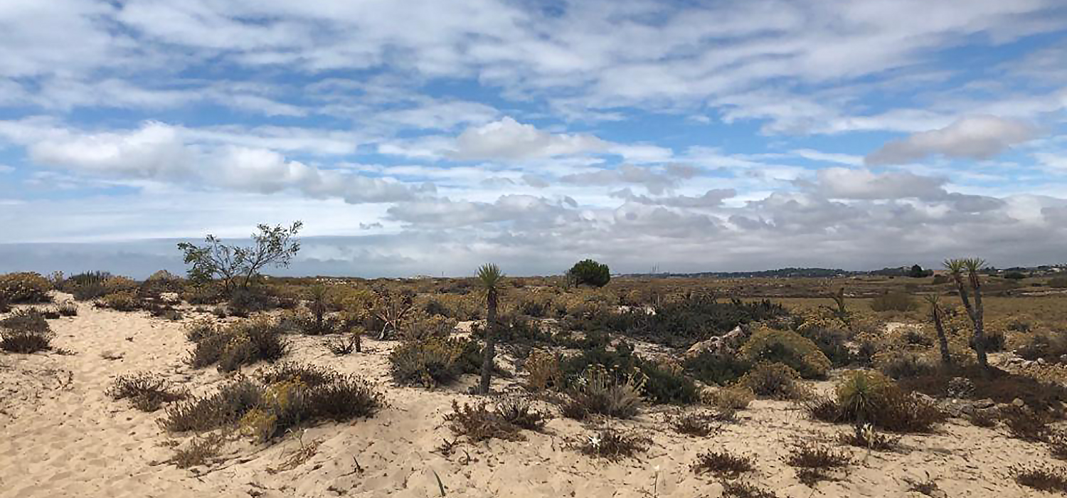 La UCA se une a la iniciativa mundial sobre el Estado de emergencia climática – Cumbre de Acción Climática 2019