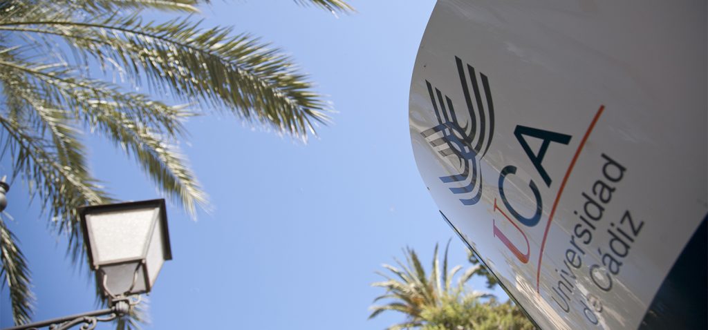 ‘Voces y Vida independiente: apoyo para la inclusión social de jóvenes con capacidades diversas’