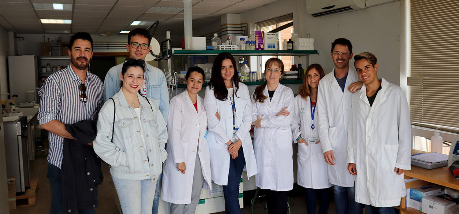 La asociación ‘Hairgardenfilms’ donará al INiBICA la recaudación de la proyección del largometraje ‘El Mundo Mago’