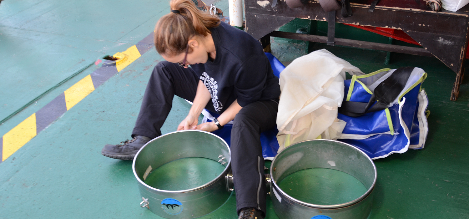 Una investigadora de la UCA y CEI·Mar establece una ratio entre plástico y plancton muy útil para establecer políticas medioambientales en los océanos