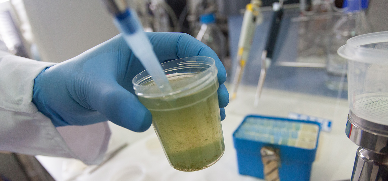 CEI·Mar financia con 120.000 euros a empresas andaluzas para proyectos de innovación