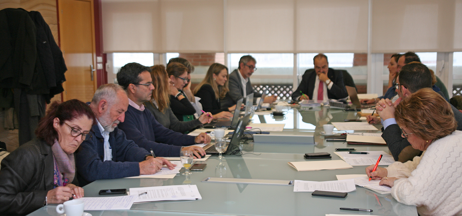 El Consejo Social aprueba los presupuestos de la Universidad de Cádiz para 2020