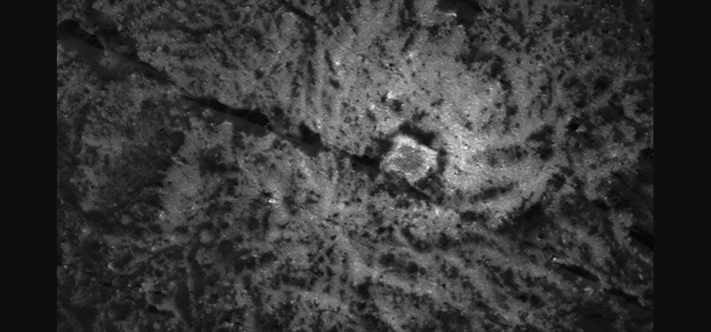 Científicos de la UCA realizan un experimento sobre la capacidad humana y de máquinas en detectar imágenes planetarias