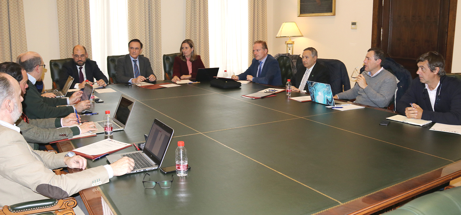 La sectorial de I+D+i de la AUPA analiza la situación de la investigación y sus indicadores en el nuevo modelo de reparto presupuestario