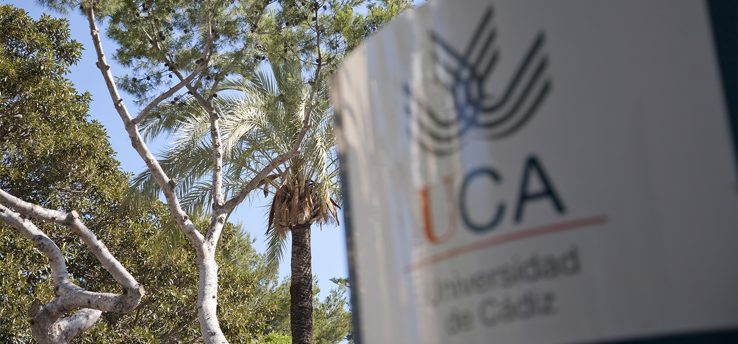 Desde hoy se puede consultar las calificaciones para el Acceso a la Universidad de Personas Mayores de 40 años