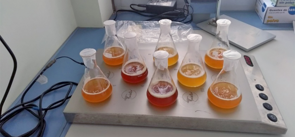 Diseñan un método que analiza con más precisión los compuestos olorosos de la cerveza para mejorar su calidad