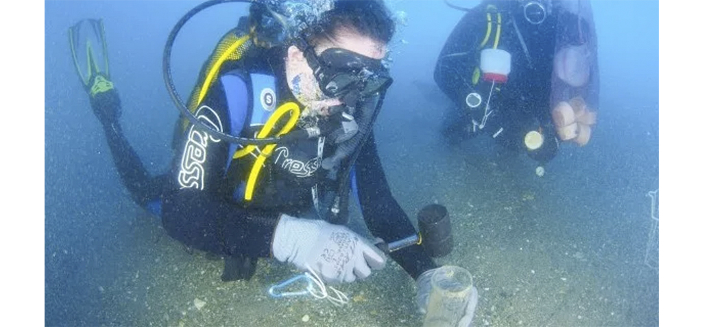 CEI·Mar apoya la organización de 11 cursos de posgrado para la vuelta del estado de alarma