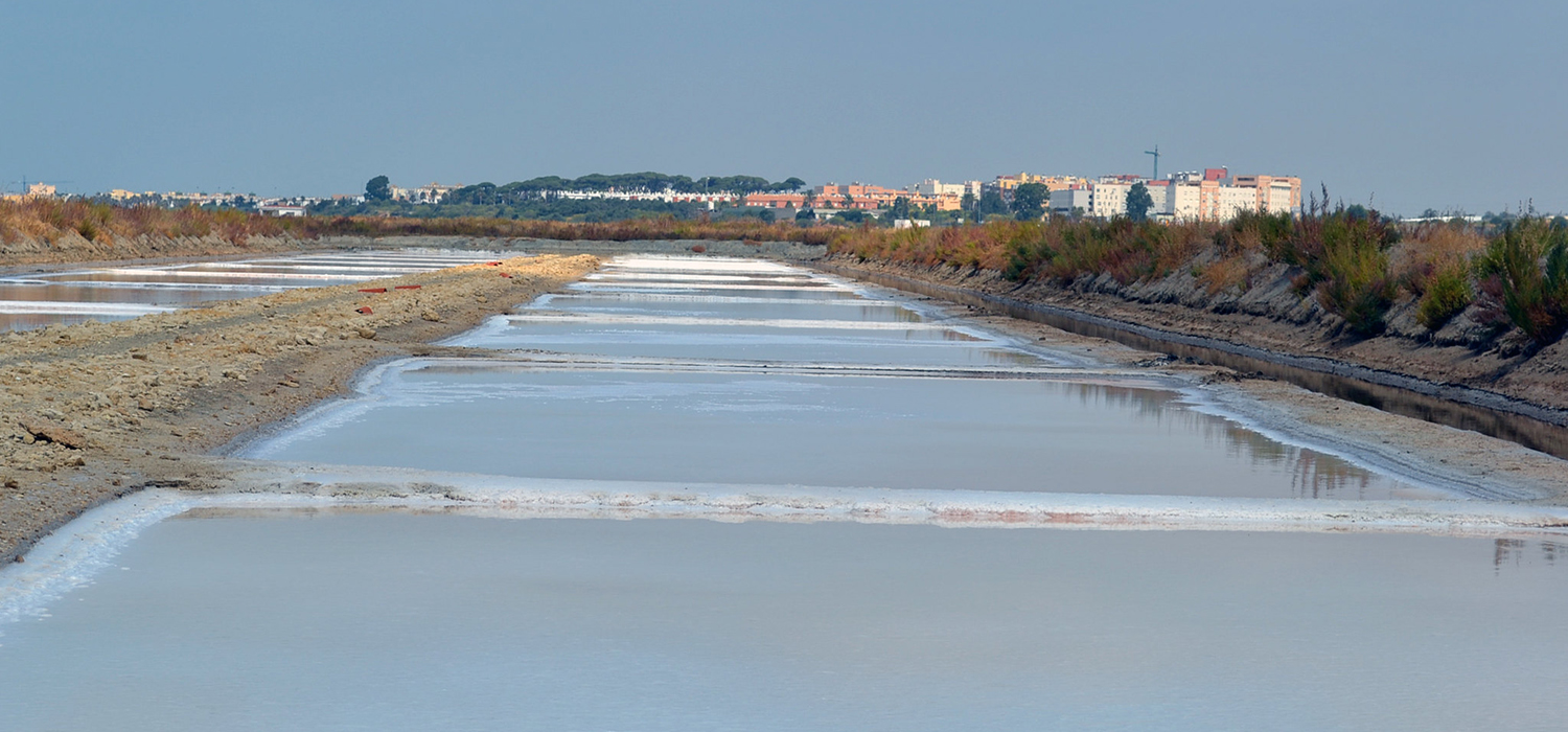 Las salinas ‘La Esperanza’ se transforman en los nuevos Servicios Centrales de Investigación de la Universidad de Cádiz