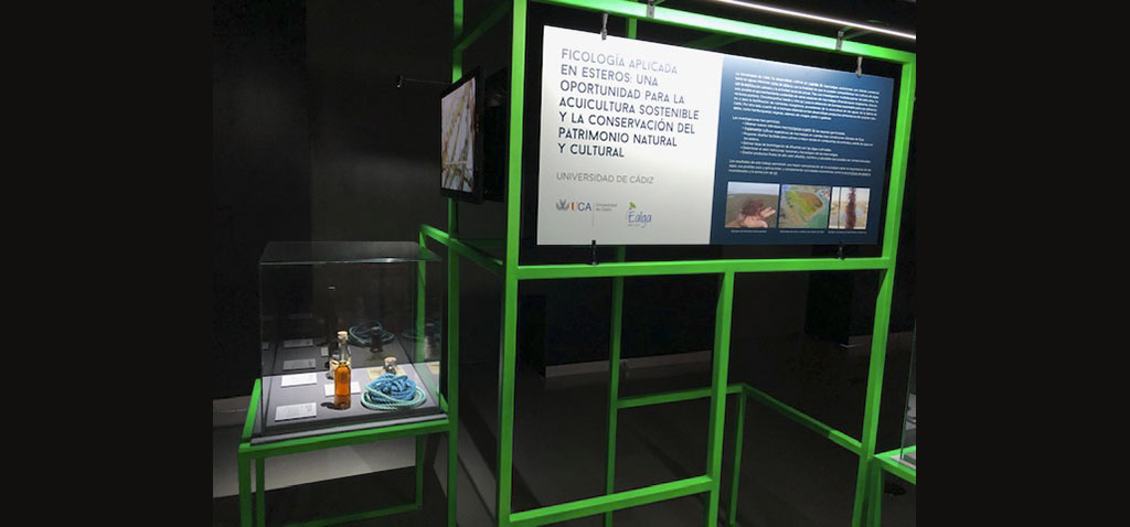 La UCA participa en la tercera edición de la exposición ‘Campus Vivo’ en el Museo Nacional de Ciencia y Tecnología
