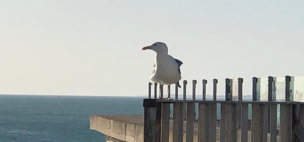 La UCA participa en el informe ‘Impacto económico y social de la pandemia COVID-19 en la provincia de Cádiz’