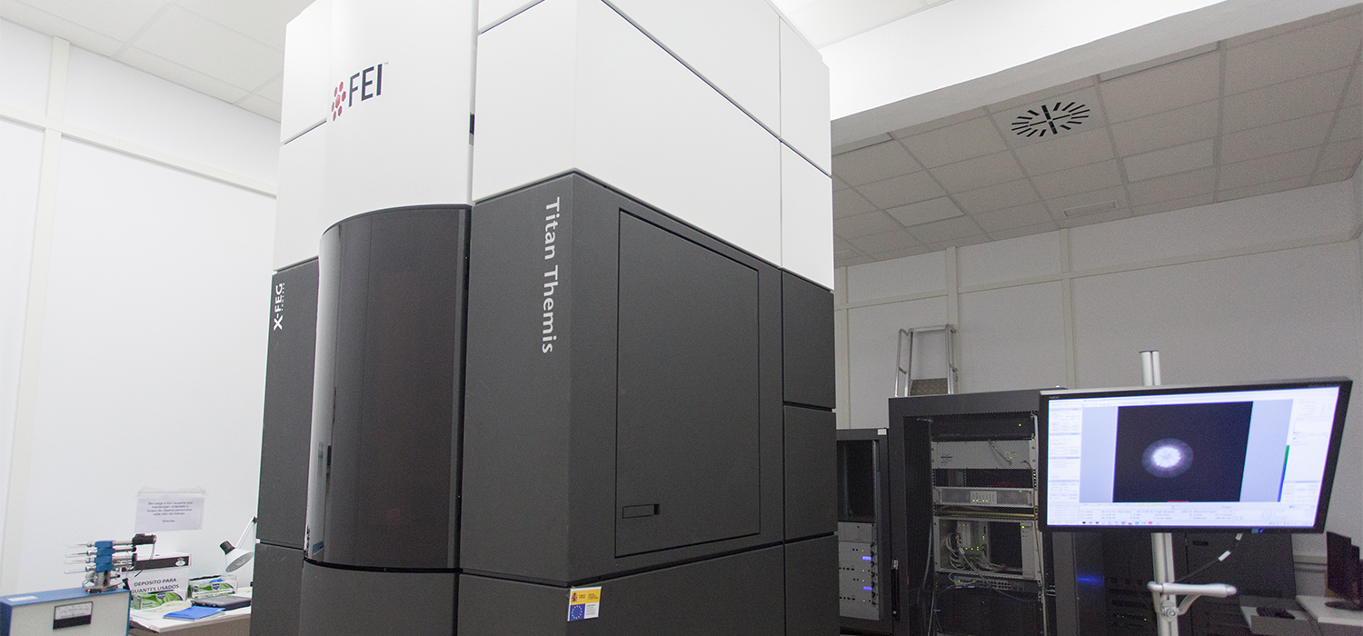 Investigadores de la UCA participan en el desarrollo de un nuevo catalizador para la obtención de propileno