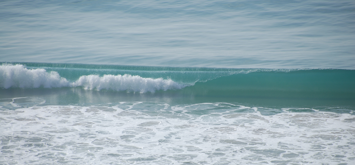 La UCA participará en un proyecto europeo que pretende mejorar la empleabilidad de sus doctores