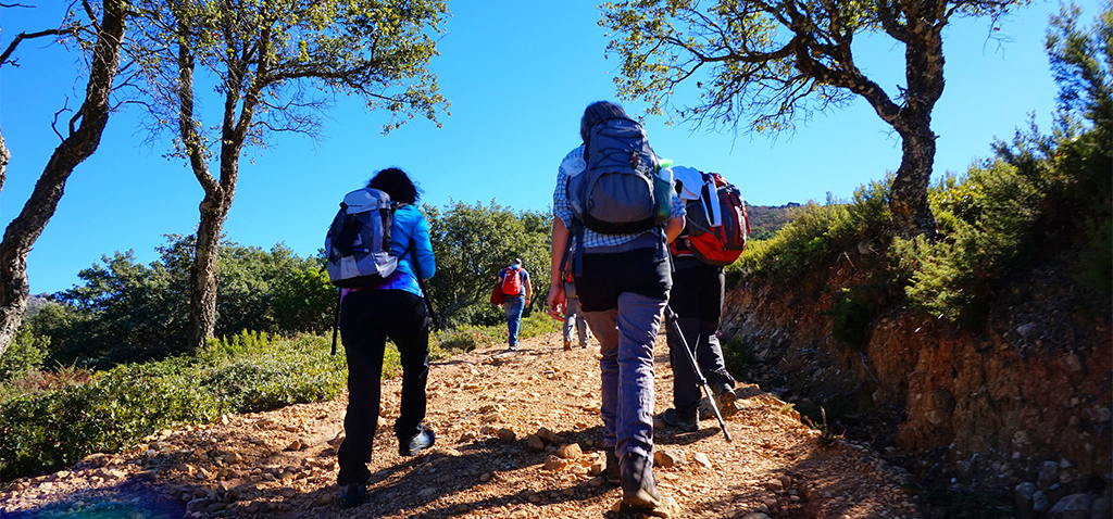 La UCA celebra dos rutas guiadas por Cádiz y Puerto Real y varios talleres divulgativos en el Parque Natural de Los Toruños