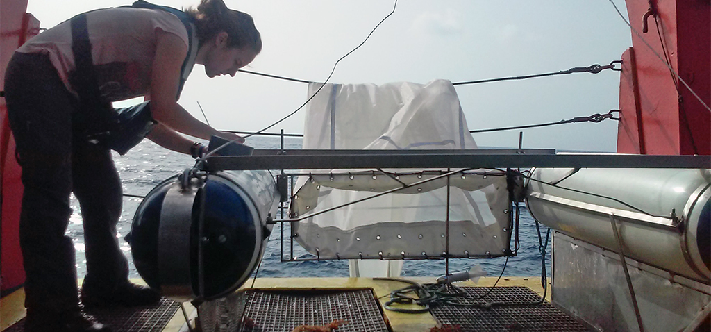 Científicos de UCA y CEI·Mar desarrollan una guía para clasificar los plásticos oceánicos por su color