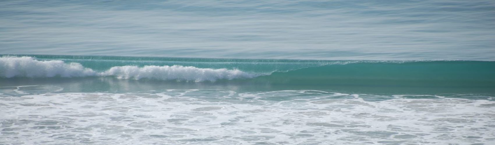 Taller: ¿Qué es el aprendizaje-servicio? | Universidad Europea de los Mares