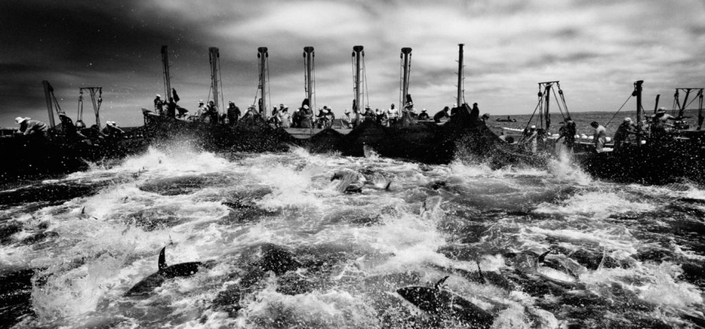 Enrique Escandell y Antonio González Caro participan en el ciclo Kursala [Dúos] de la UCA