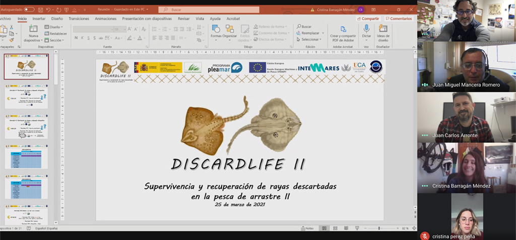 La UCA organiza la reunión inicial del proyecto ‘DISCARDLIFE II’ para recuperación de las rayas descartadas en la pesca de arrastre