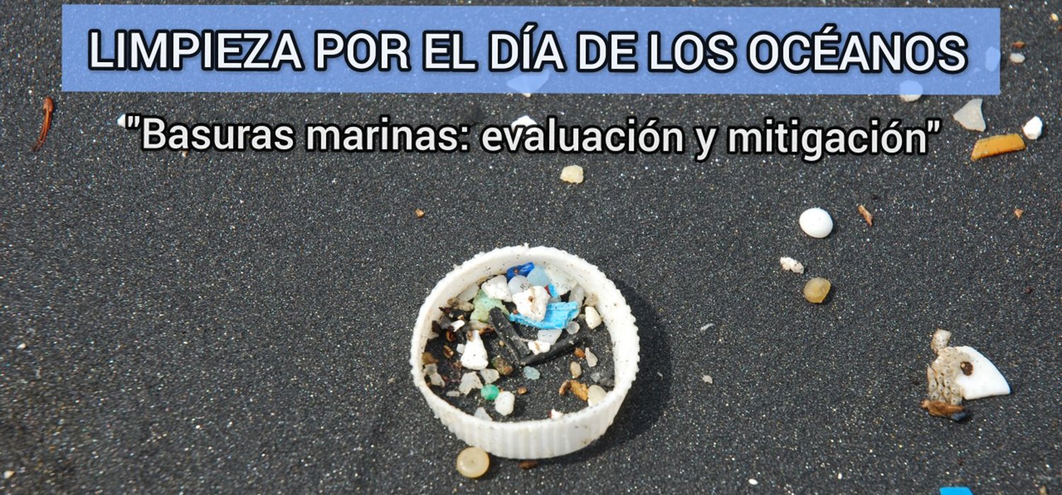 Evaluación y limpieza de basuras marinas | Día de los Océanos