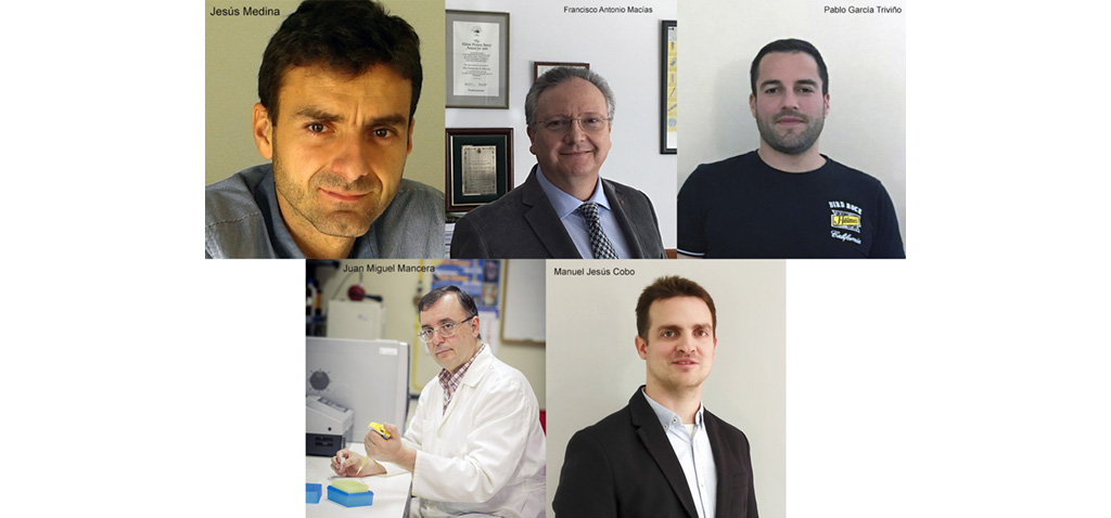 Cinco profesores de la Universidad de Cádiz forman parte del 2% de los mejores científicos del mundo