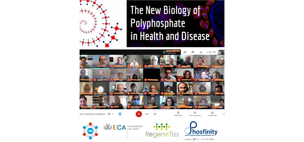 La Universidad de Cádiz, anfitriona de un congreso internacional sobre polímeros de fosfato