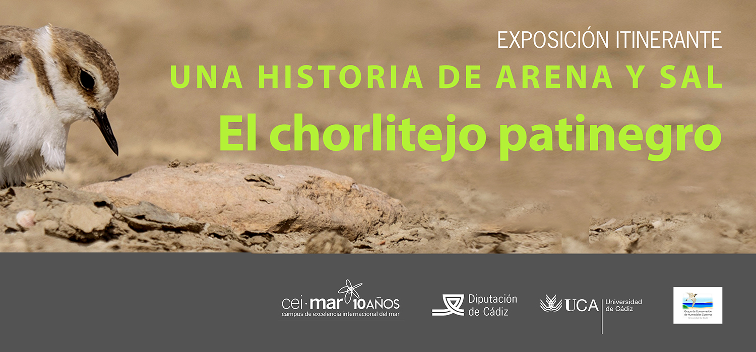 Inauguración de la exposición itinerante ‘Patinegro: una historia de arena y sal’