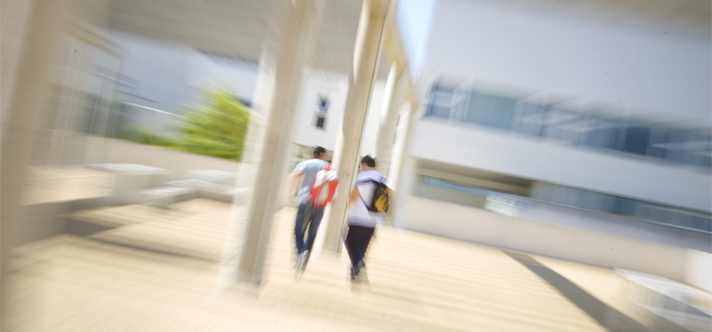 Abierto el plazo de los Premios Nacionales de Fin de Carrera de Educación Universitaria