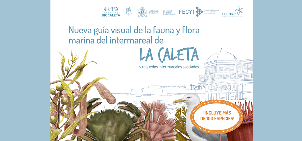 La UCA publica una nueva guía visual sobre la biodiversidad de La Caleta con más de 100 especies de animales y algas