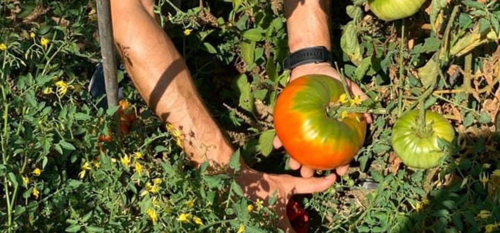 Taller `Cocinando el entorno: Caviar vegetal y raíces´