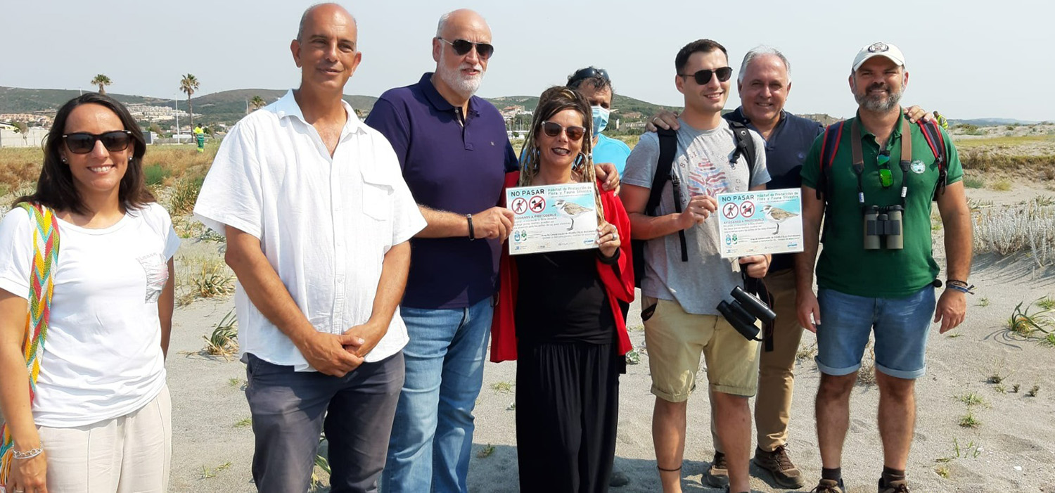 CEI·MAR, UCA, Ayuntamiento y Diputación realizan diagnóstico sobre situación del chorlitejo en las playas de La Línea