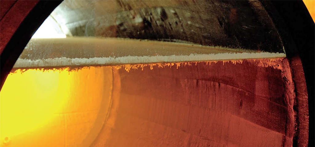 Investigadores de la UCA participan en estudio internacional sobre las mejores levaduras de la industria vitivinícola ibérica