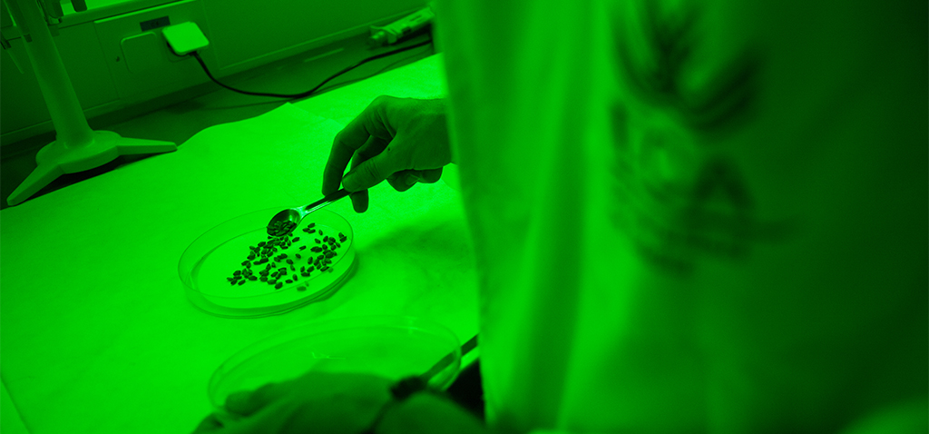 La UCA, entre las mil mejores universidades del mundo