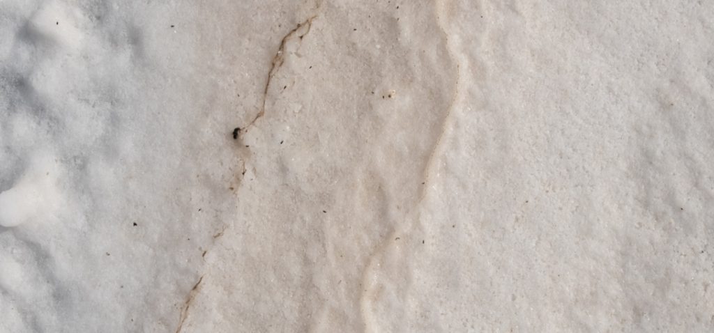 Muestra fotográfica “La sal se come la piedra” en el Campus de Jerez