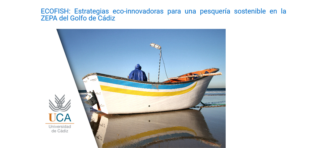 Investigadores de la UCA presentarán los resultados del proyecto ‘ECOFISH 4.0.’ en Sanlúcar de Barrameda