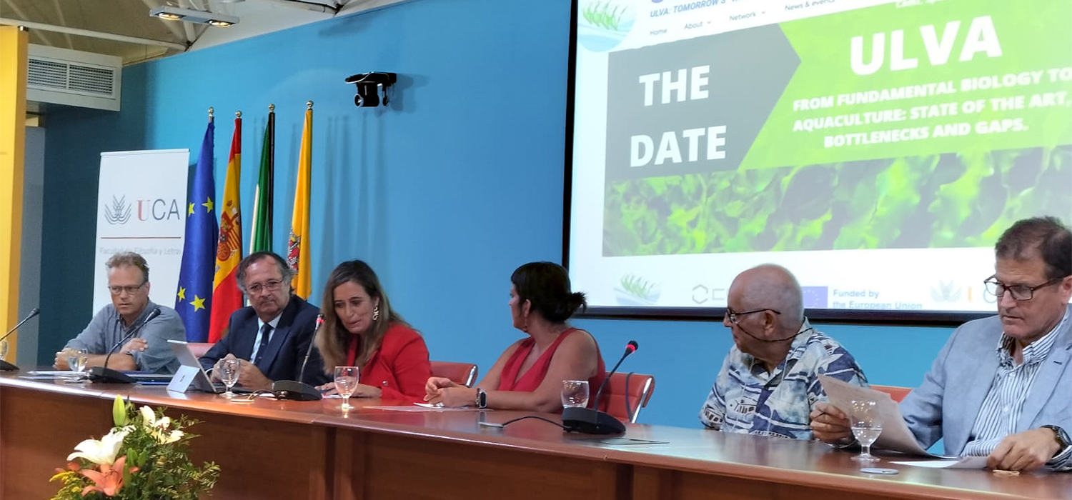 Cádiz, sede del conocimiento científico sobre las macroalgas y sus aplicaciones