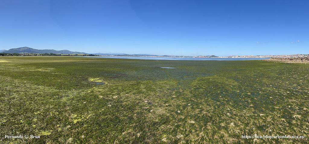 The UCA launches the Blue Carbon laboratory