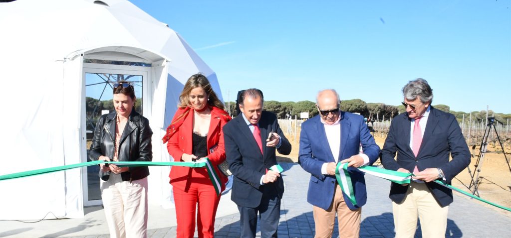 La UCA y el Consejo Regulador del Jerez gestionarán el centro de innovación aplicada ‘Vitilab’ junto a Diputación
