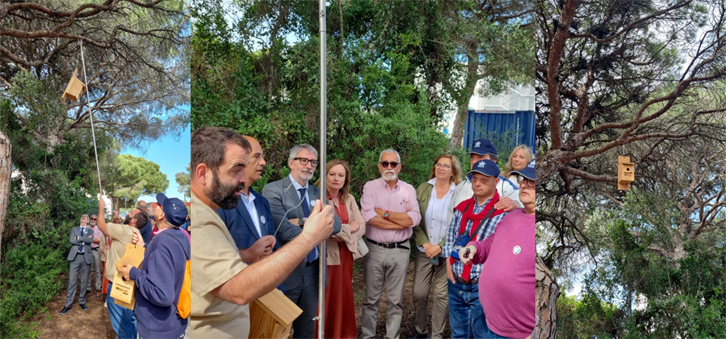 El Consejo Social de la UCA y Afanas Jerez  facilitan 50 cajas nido para el Campus de Puerto Real y el Parque Natural Los Toruños