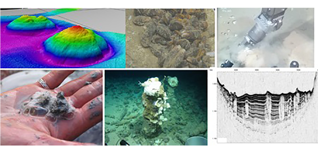 Más de 150 expertos internacionales participan en el XV Congreso Internacional ‘Gas in Marine Sediments GIMS’