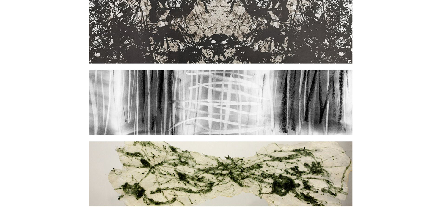 La exposición fotográfica ‘Ausencia’ de Bárbara Shunyi, Noni Lazaga y Carmen Isasi se inaugura en el Campus de Jerez