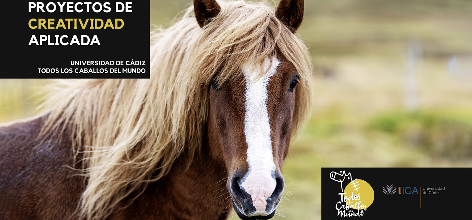 Campañas publicitarias de fin social de estudiantes en el Campus de Jerez
