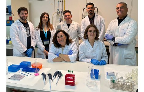 Investigadores de la UCA y la US identifican una nueva aplicación de un ...