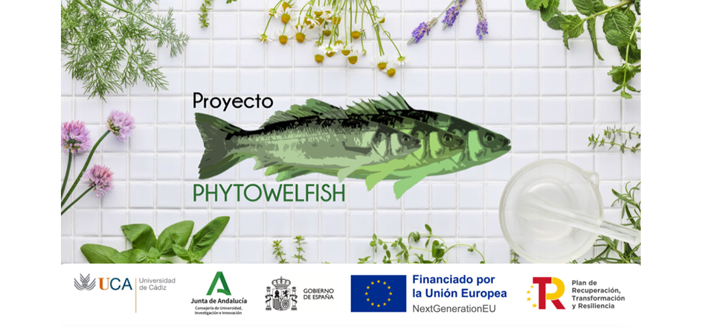 Investigadores de la UCA impulsan el proyecto ‘Phytowelfish’ de aplicación en acuicultura