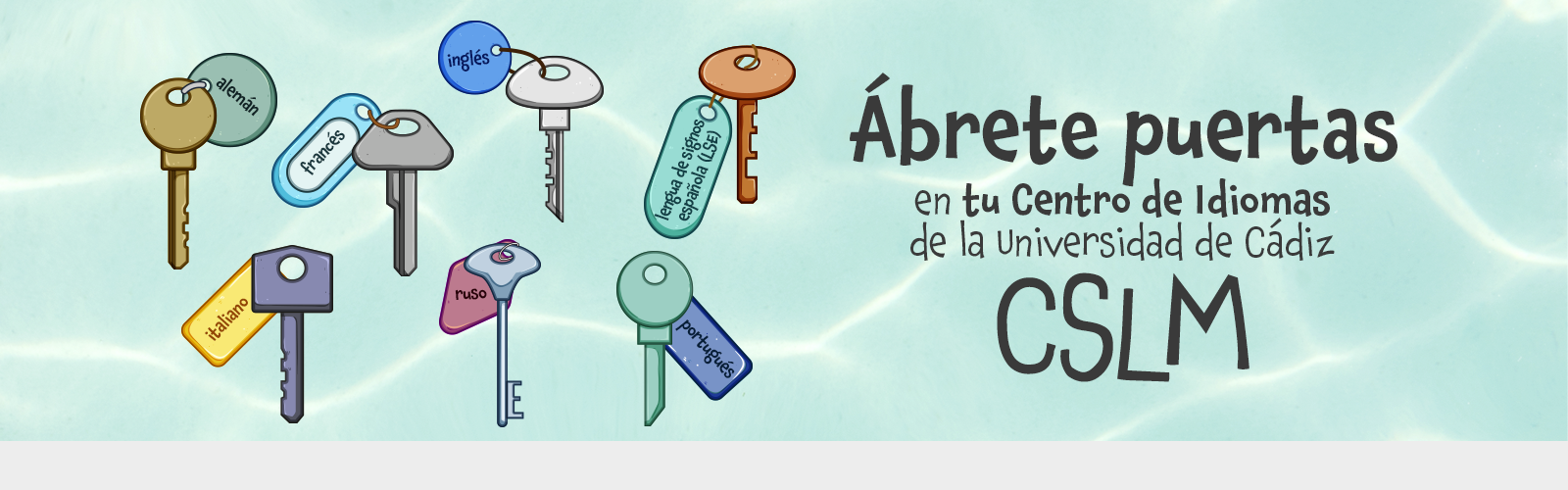IMG CSLM Verano