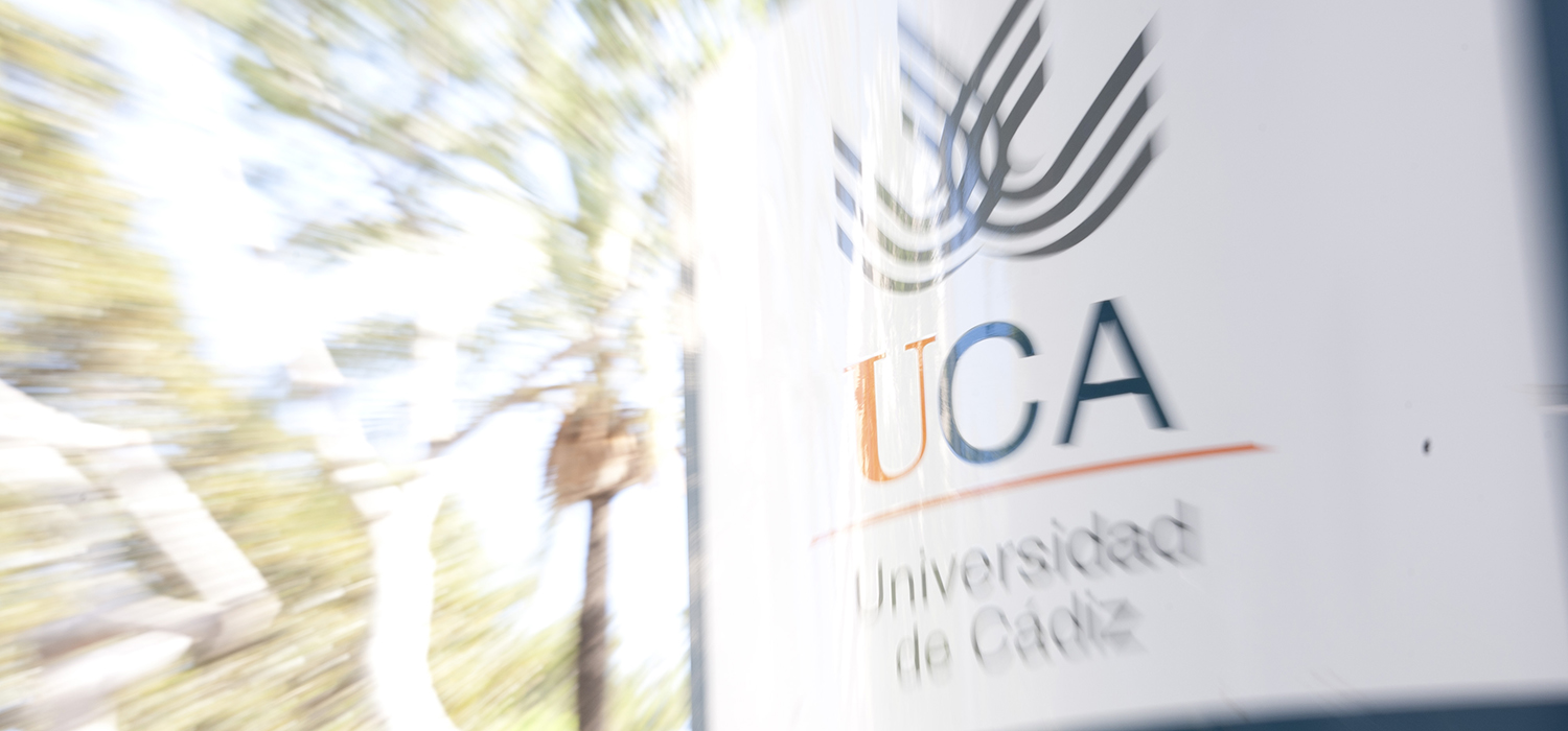 El Consejo Social aprueba las cuentas anuales de  la Universidad de Cádiz del ejercicio 2024