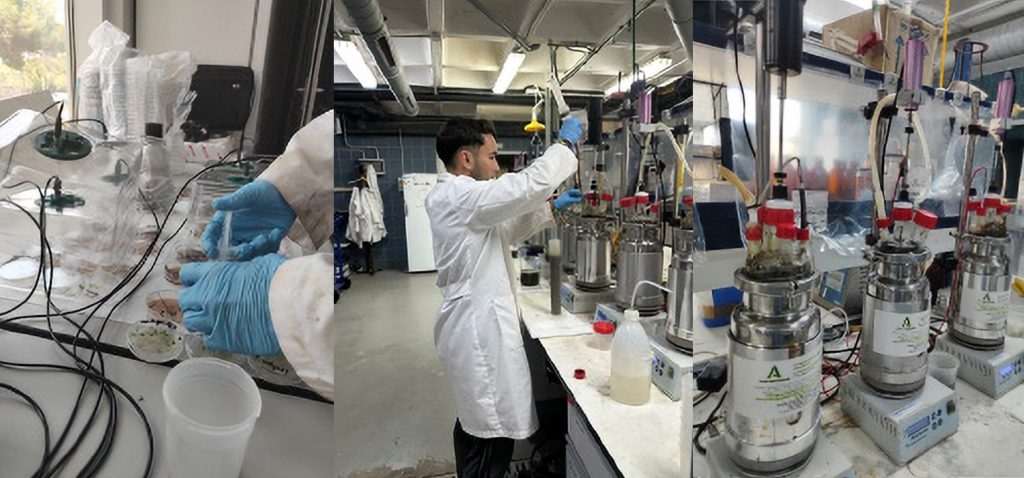 Investigadores de la UCA trabajan en transformar residuos agroindustriales en energía renovable y fertilizantes de alta calidad