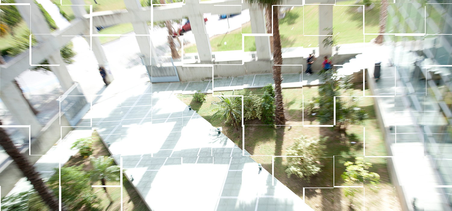 Las bibliotecas de la Universidad de Cádiz, un motor del conocimiento adaptado a los nuevos tiempos