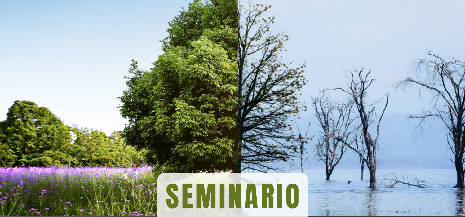 El seminario ‘Turismo azul y cambio climático. El reto de la adaptación’ comienza en los Cursos de Verano de Cádiz