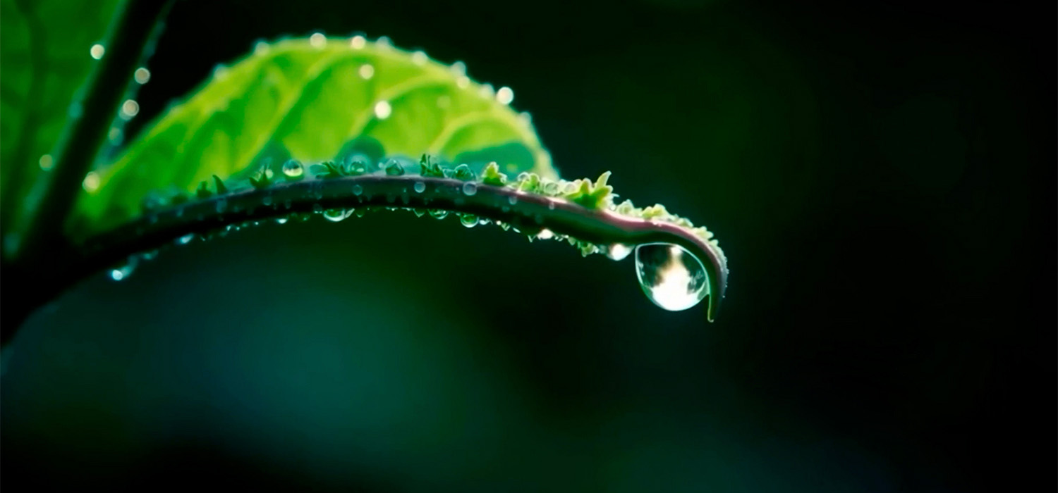 La ETSIA, sede del I Congreso RH2Enovables para la Desfosilización Industrial organizado por la UCA y la Fundación Campus Tecnológico