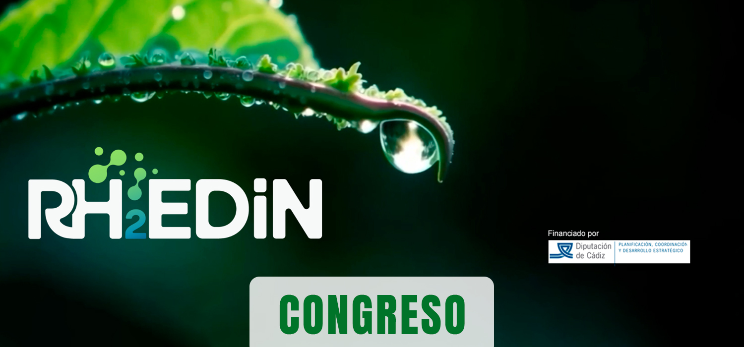 I Congreso RH2Enovables para la Desfosilización Industrial en el Campus Bahía de Algeciras