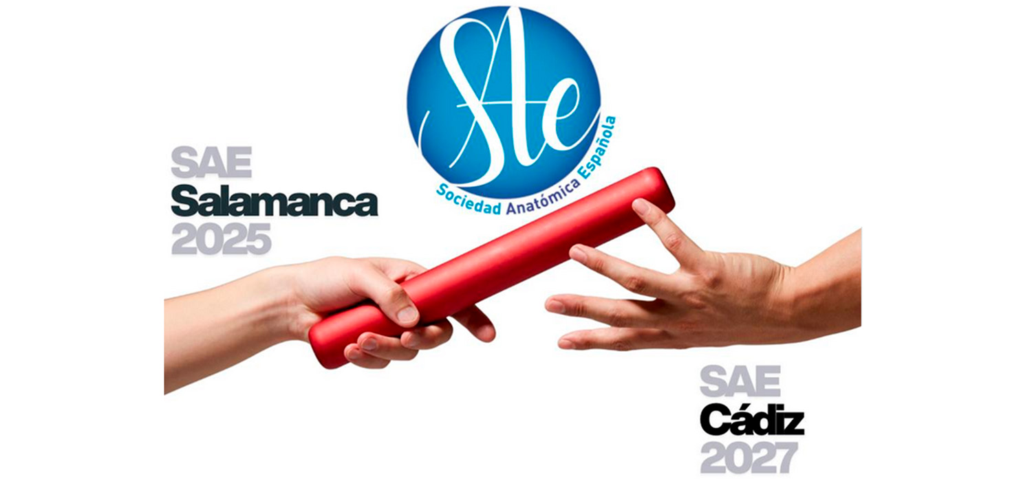 La Universidad de Cádiz será sede del XXXII Congreso de la Sociedad Anatómica Española
